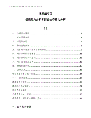 湿厕纸项目偿债能力分析和财务生存能力分析【参考】