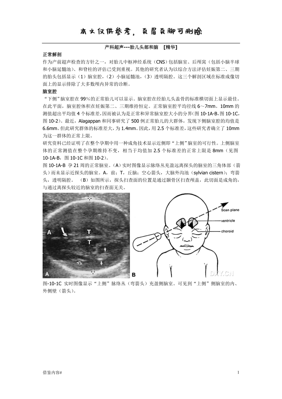 产科超声胎儿头部和脑优质参考_第1页