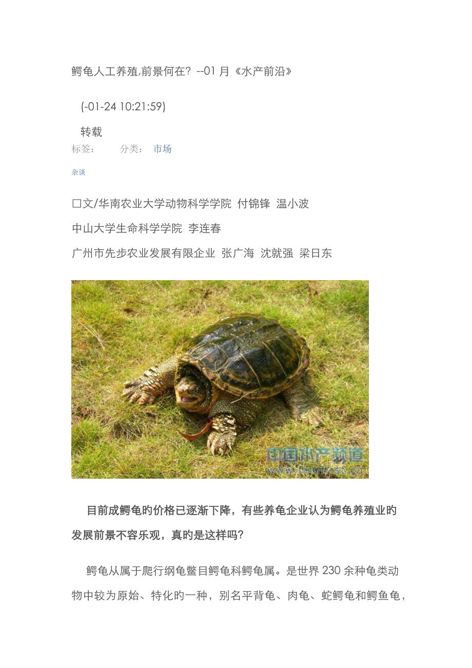 鳄龟人工养殖前景何在_第1页