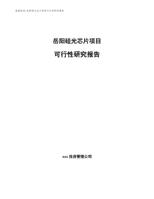 岳阳硅光芯片项目可行性研究报告模板参考