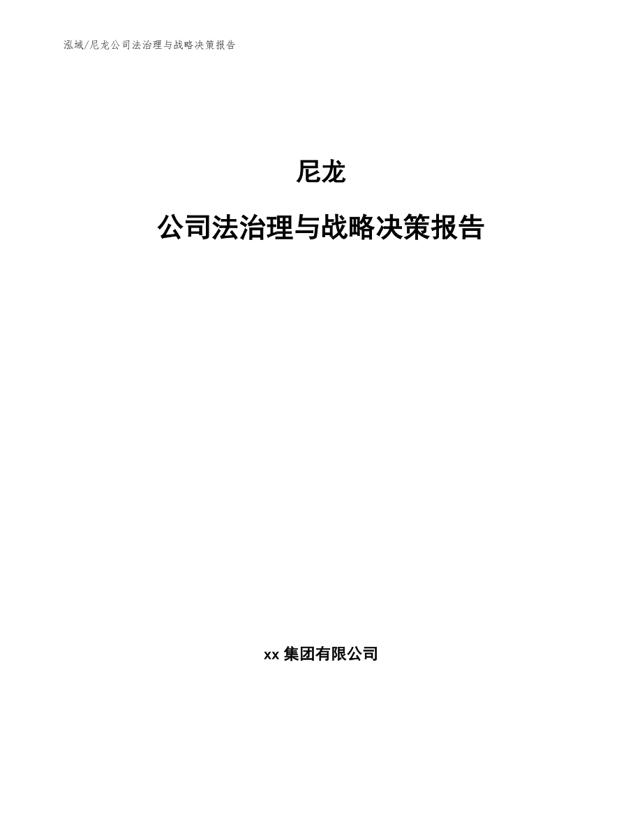 尼龙公司法治理与战略决策报告【参考】_第1页