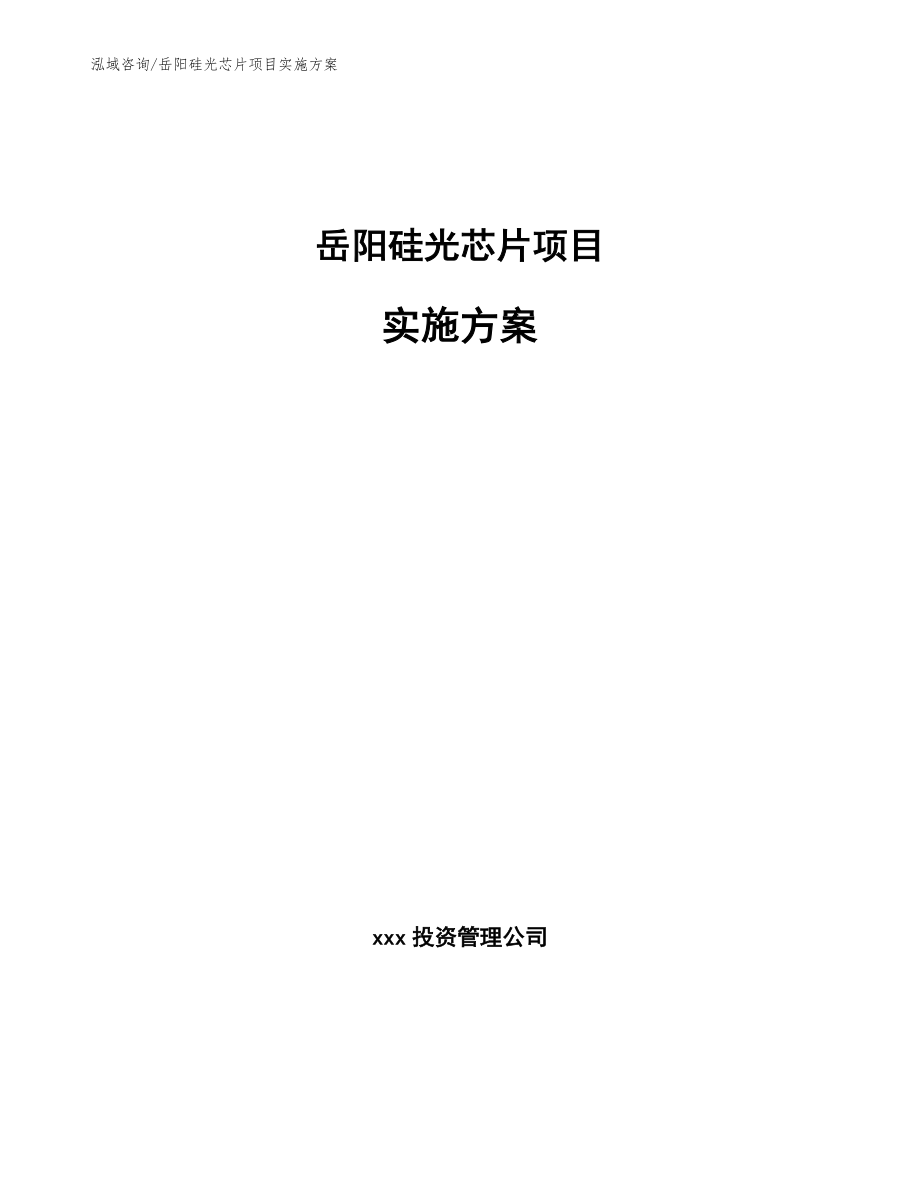 岳阳硅光芯片项目实施方案_第1页