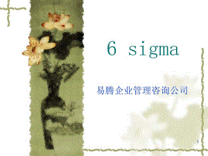 易腾企业管理咨询6sigma全套资料PPT247课件