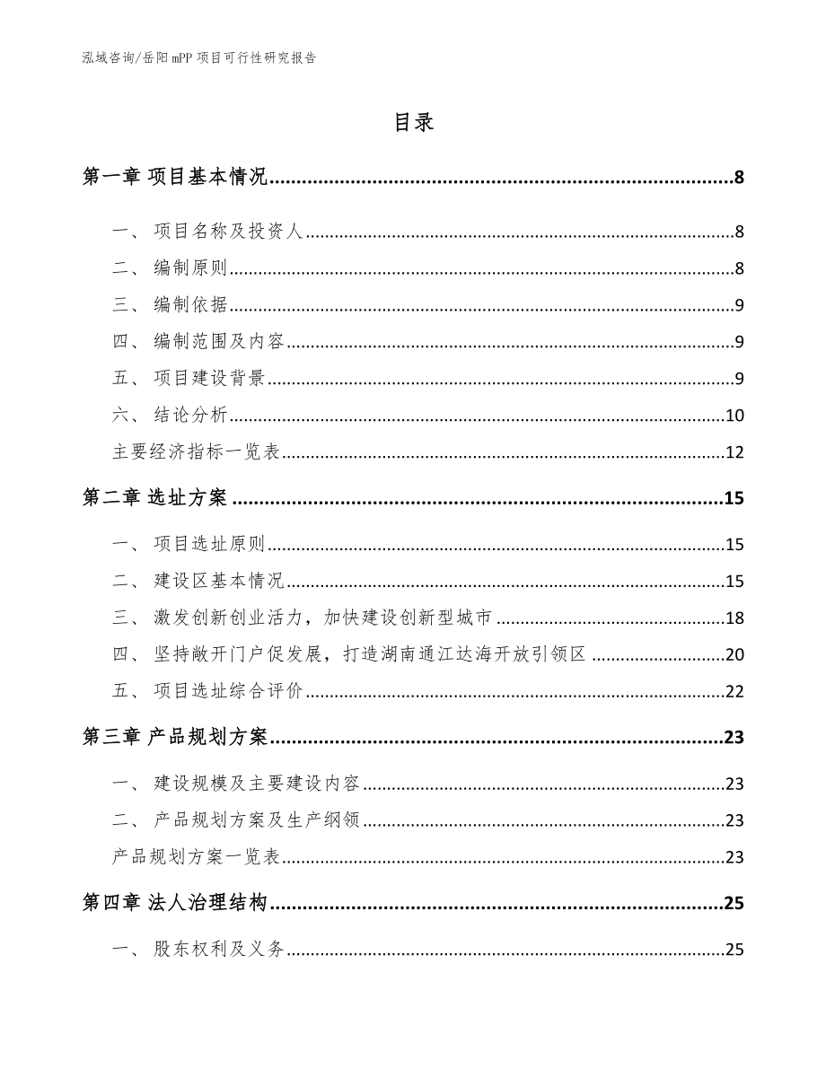 岳阳mPP项目可行性研究报告_第1页