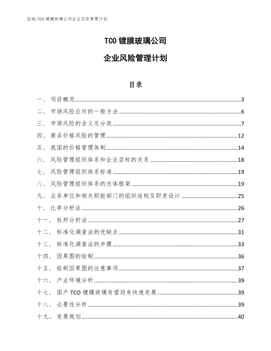 TCO镀膜玻璃公司企业风险管理计划_参考_第1页