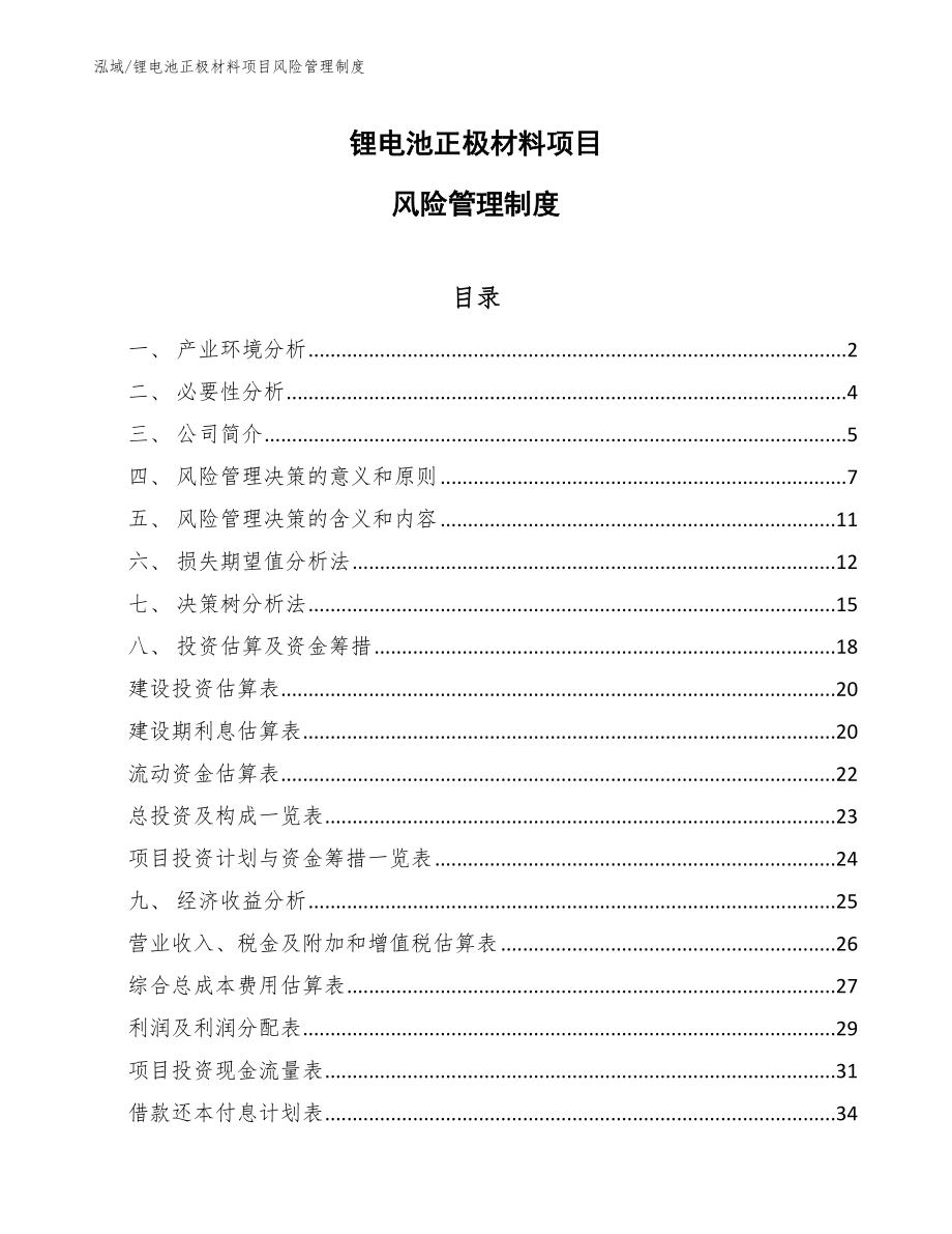 锂电池正极材料项目风险管理制度【参考】_第1页