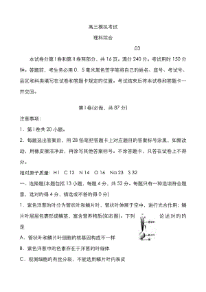 山東省日照市高三第一次模擬考試 理綜試題