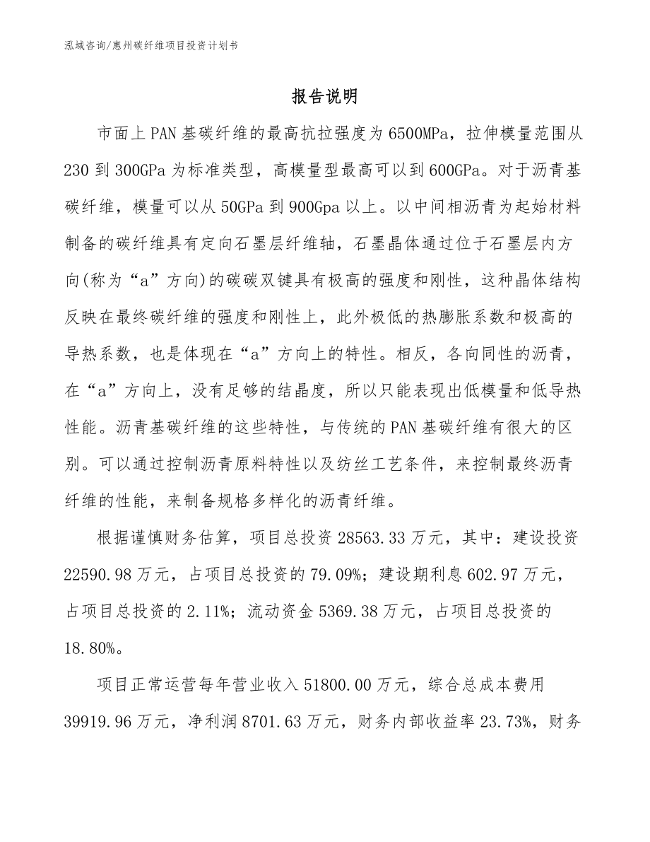 惠州碳纤维项目投资计划书_第1页
