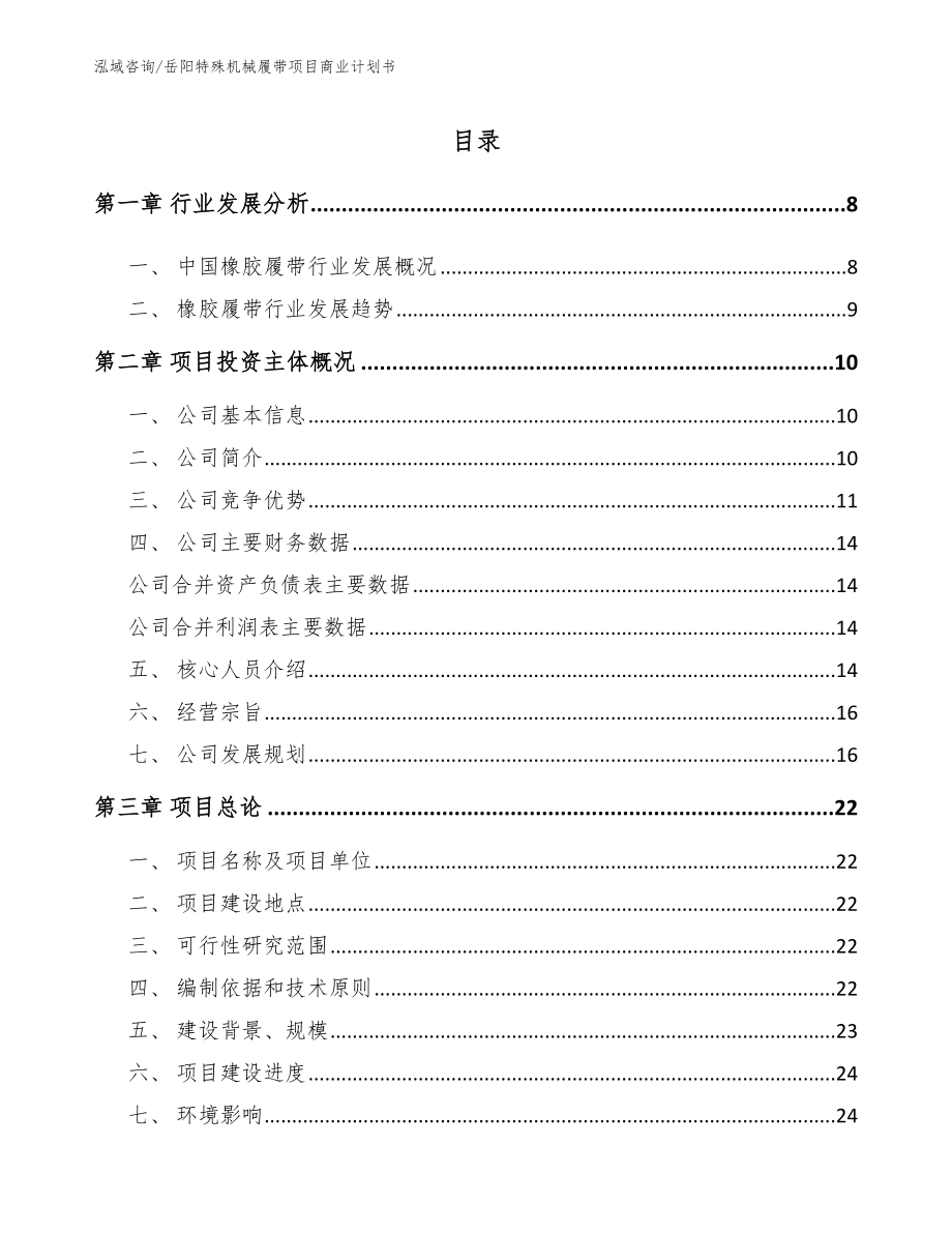 岳阳特殊机械履带项目商业计划书【模板参考】_第1页