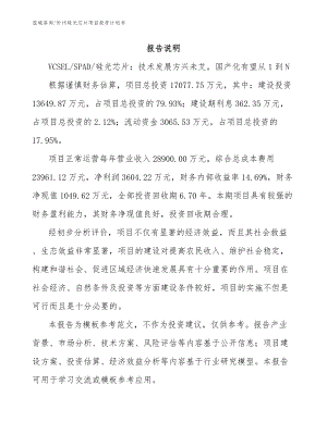 忻州硅光芯片项目投资计划书_范文模板