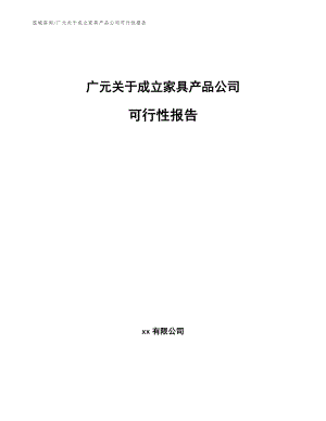 广元关于成立家具产品公司可行性报告