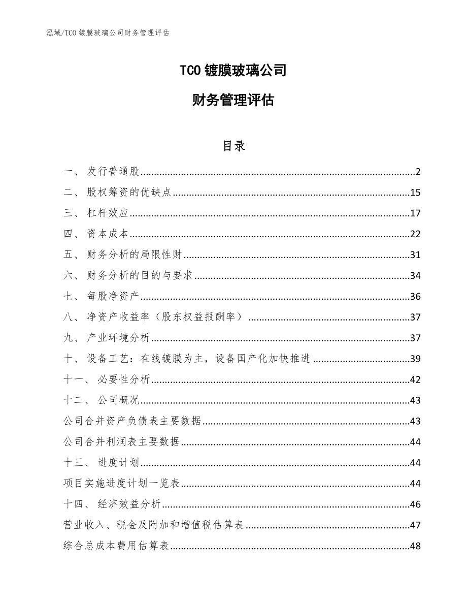 TCO镀膜玻璃公司财务管理评估（范文）_第1页