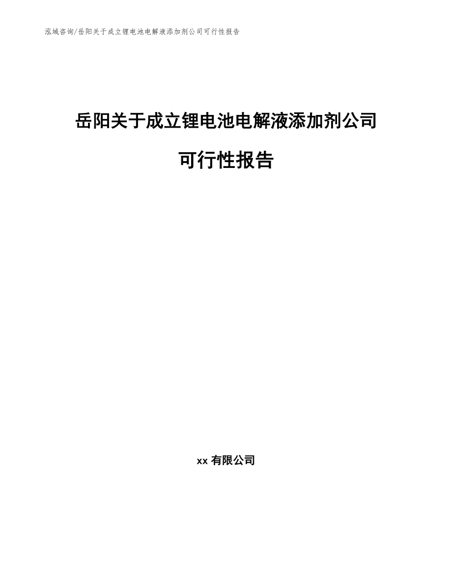 岳阳关于成立锂电池电解液添加剂公司可行性报告（范文）_第1页