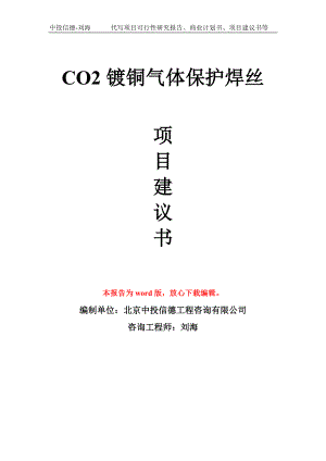 CO2镀铜气体保护焊丝项目建议书写作模板