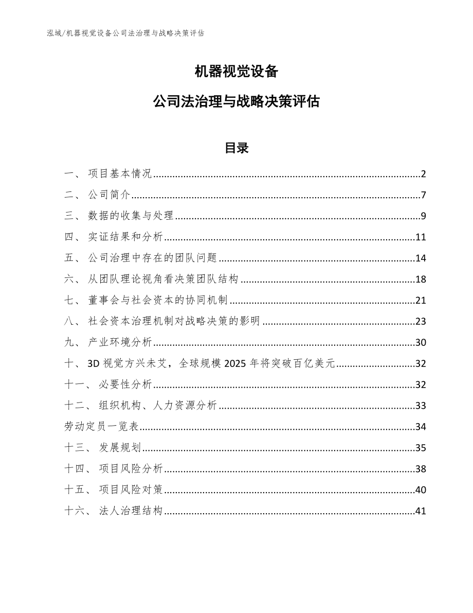 机器视觉设备公司法治理与战略决策评估_第1页