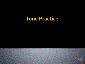 TonePractice对外汉语初级声调练习