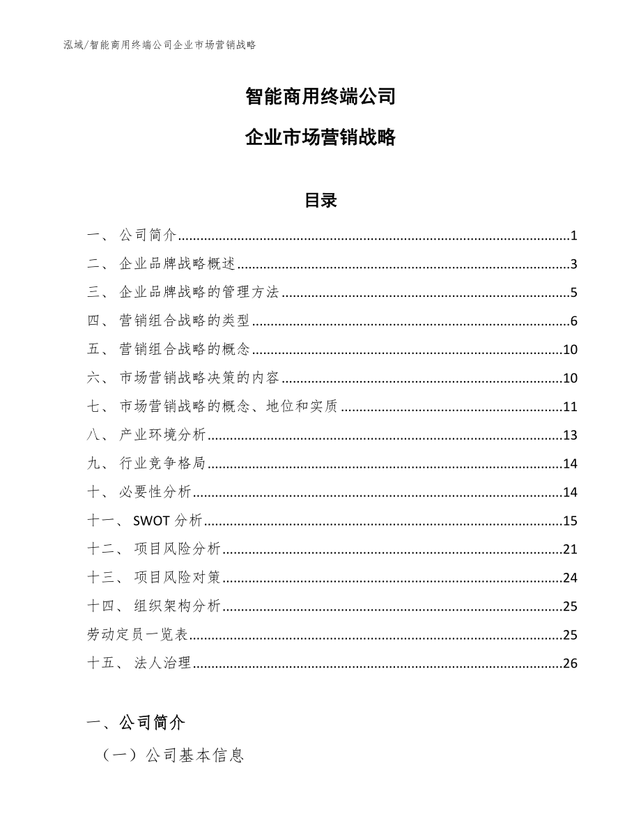 智能商用终端公司企业市场营销战略_第1页