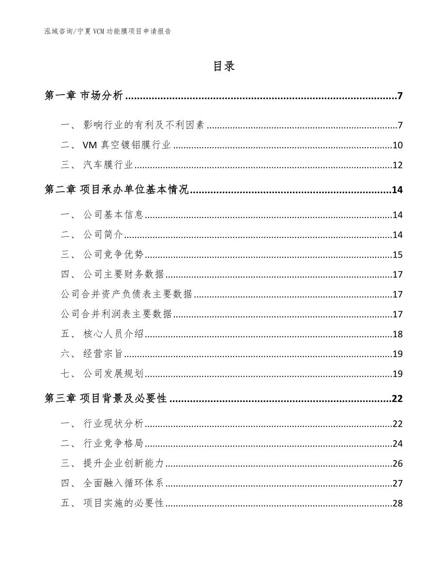 宁夏VCM功能膜项目申请报告_参考模板_第1页