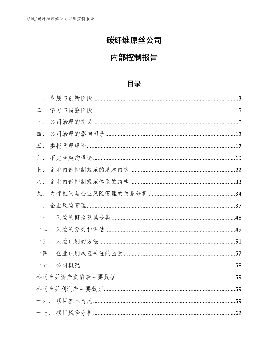 碳纤维原丝公司内部控制报告_第1页