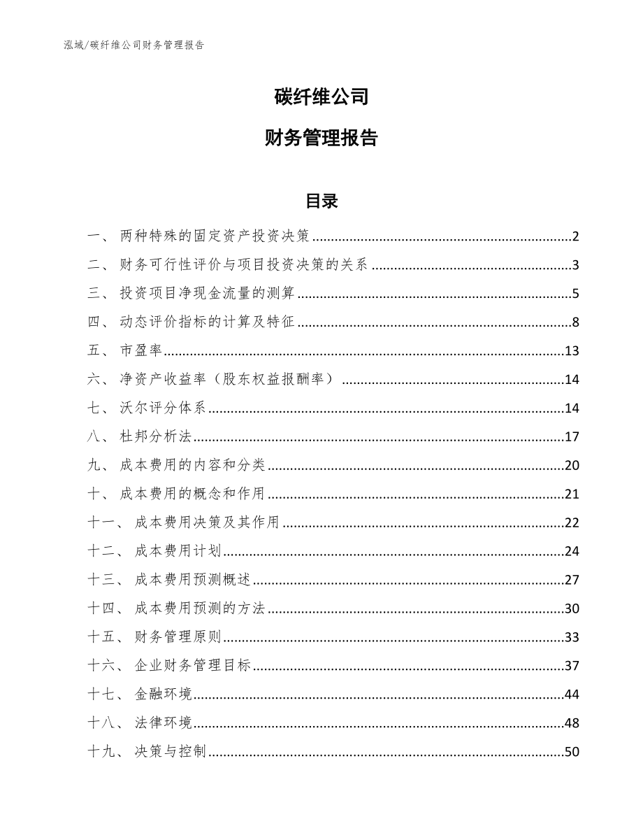 碳纤维公司财务管理报告【范文】_第1页