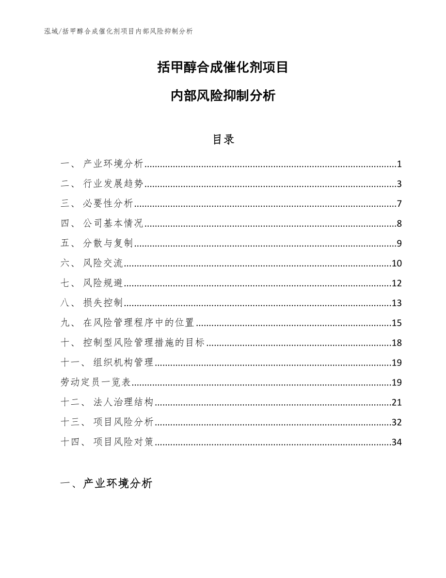 括甲醇合成催化剂项目内部风险抑制分析【参考】_第1页