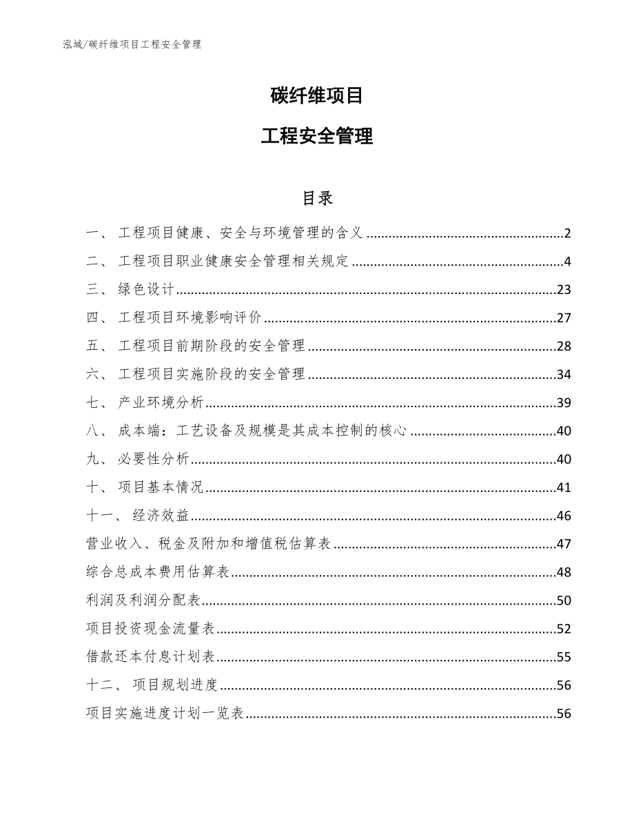 碳纤维项目工程安全管理_参考_第1页