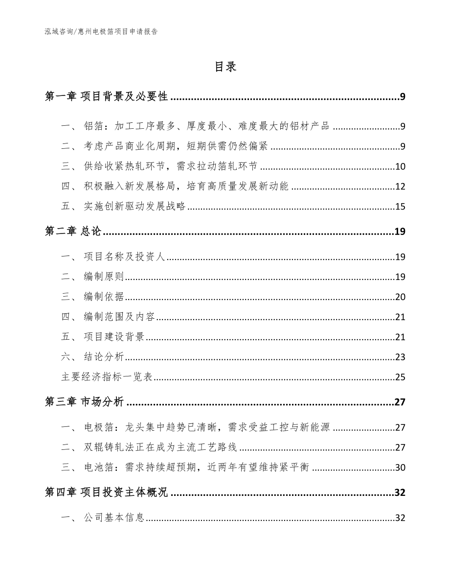 惠州电极箔项目申请报告_第1页