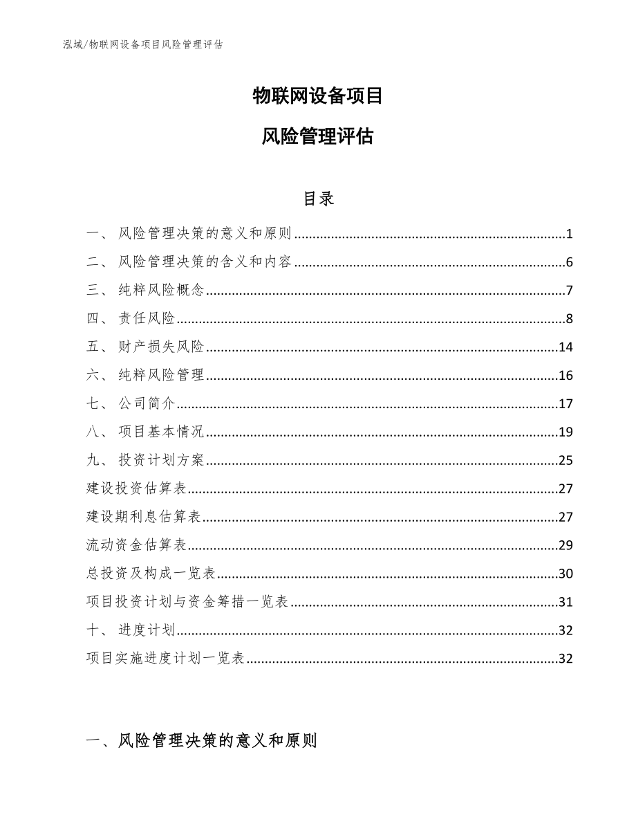 物联网设备项目风险管理评估_第1页