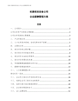 机器视觉设备公司企业薪酬管理方案