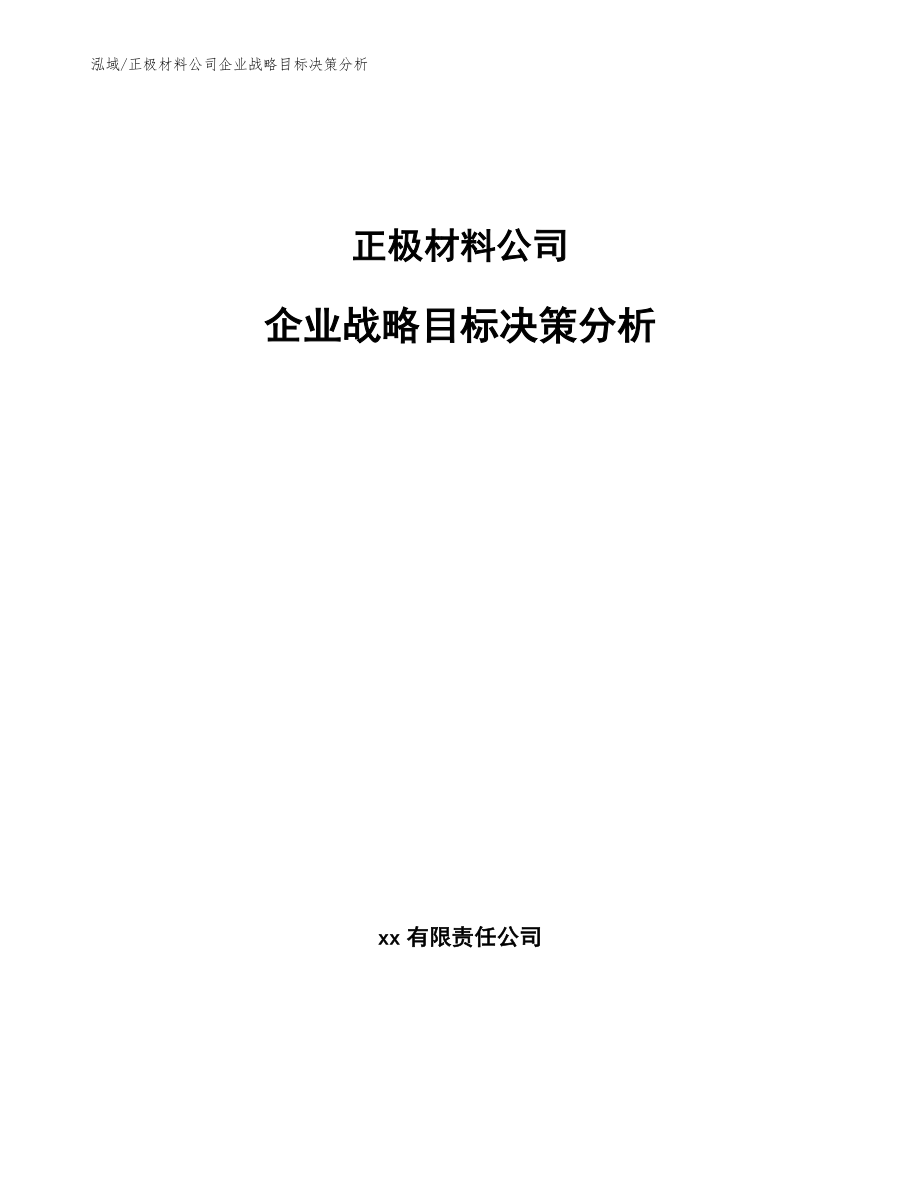 正极材料公司企业战略目标决策分析_第1页