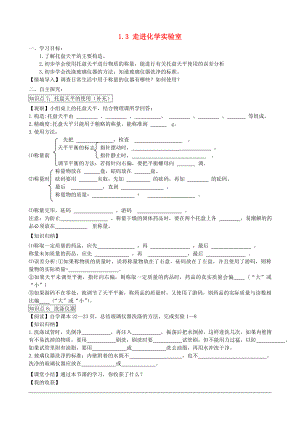 2014-2015學(xué)年九年級(jí)化學(xué)上冊(cè) 1.3 走進(jìn)化學(xué)實(shí)驗(yàn)室（第3課時(shí)）學(xué)案（無答案）（新版）新人教版