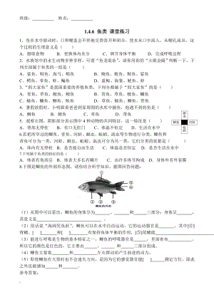 冀少版七年级上册生物 1.4.6 鱼类 课堂练习