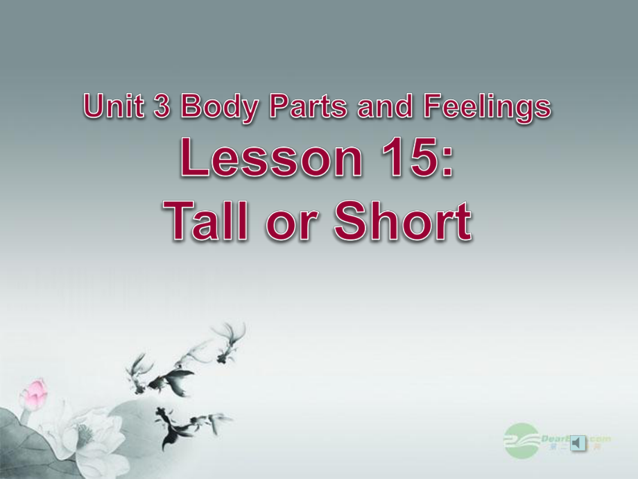 冀教初中英語七上《Lesson 15 Tall or Short》PPT課件 (2)_第1頁