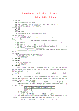 2013年九年級化學下冊 第十一單元 導學2 課題2 化學肥料導學案 新人教版