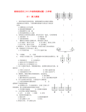 湖南省武冈三中八年级物理测试题（力学部分） 新人教版