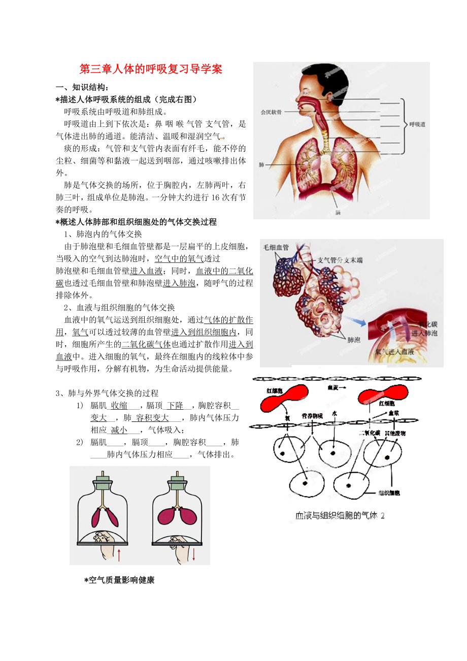 安徽省毫州市風華中學七年級生物下冊《第三章 人體的呼吸》復習導學案 新人教版_第1頁