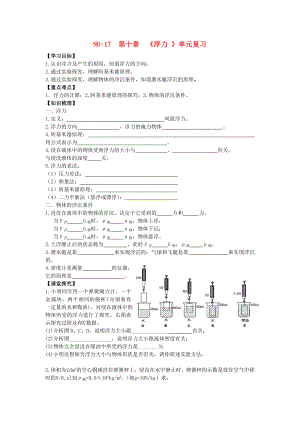 2013年八年級(jí)物理下冊(cè) 第十章《浮力 》單元復(fù)習(xí)導(dǎo)學(xué)案（無(wú)答案）（新版）新人教版