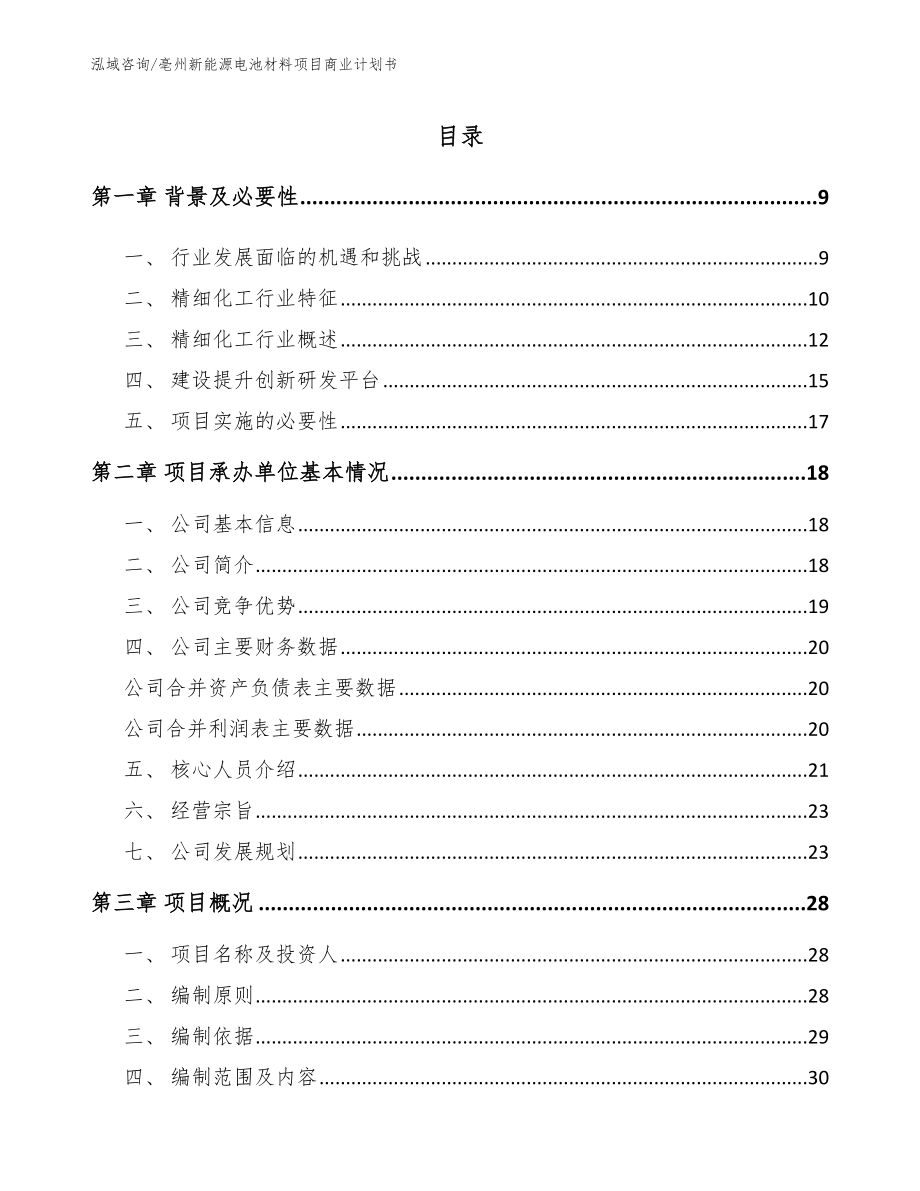 亳州新能源电池材料项目商业计划书（范文参考）_第1页