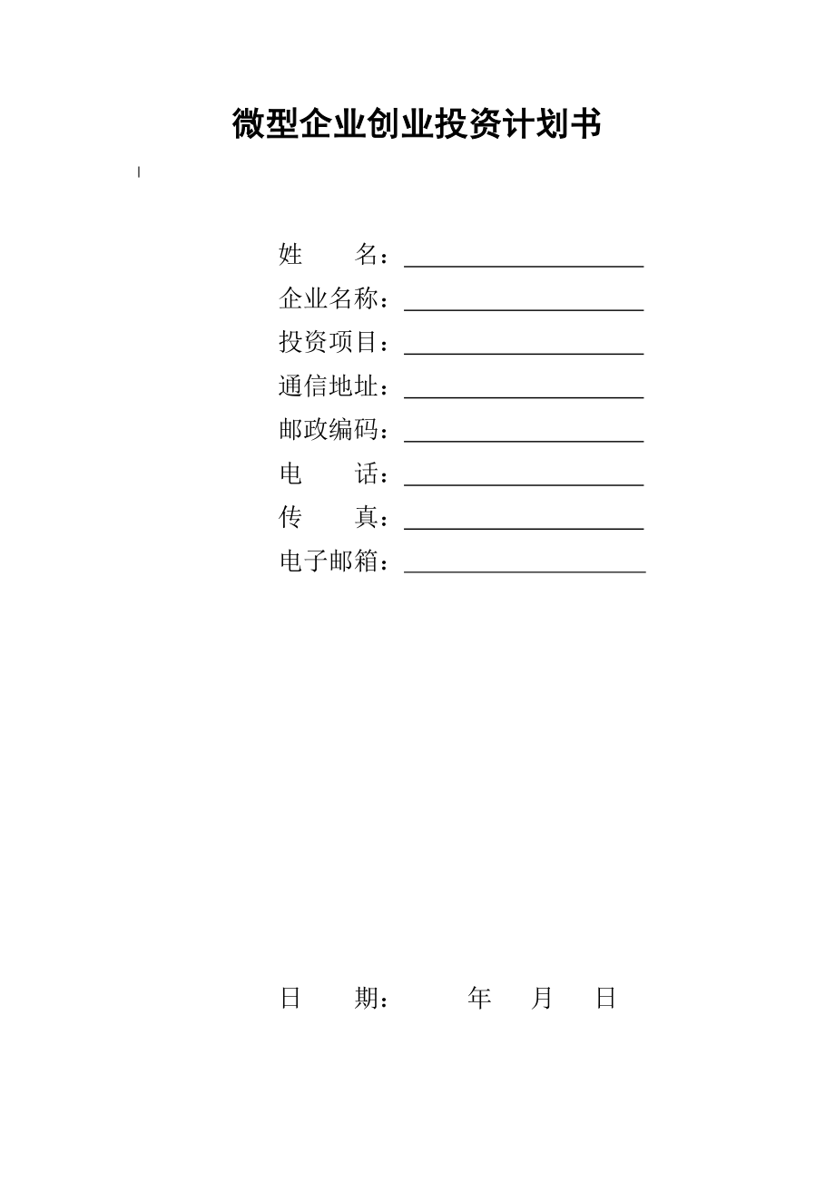 微型企业创业投资计划书_第1页