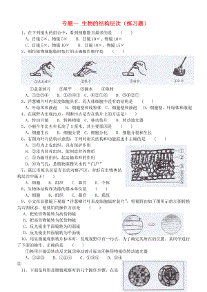 2013年中考生物 專題練習一 生物的結構層次