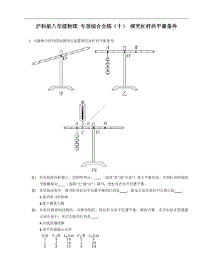 滬科版八年級(jí)物理 專項(xiàng)綜合全練（十） 探究杠桿的平衡條件