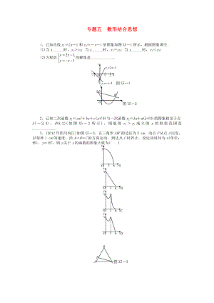 2013年中考數(shù)學(xué)第一輪復(fù)習(xí)資料 第四部分 專(zhuān)題突破 專(zhuān)題五 數(shù)形結(jié)合思想（無(wú)答案）