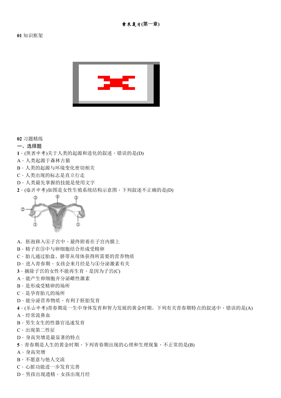 人教版生物七年級下冊 第一章　人的由來 章末復習(第一章) 同步練習（word版 無答案)_第1頁