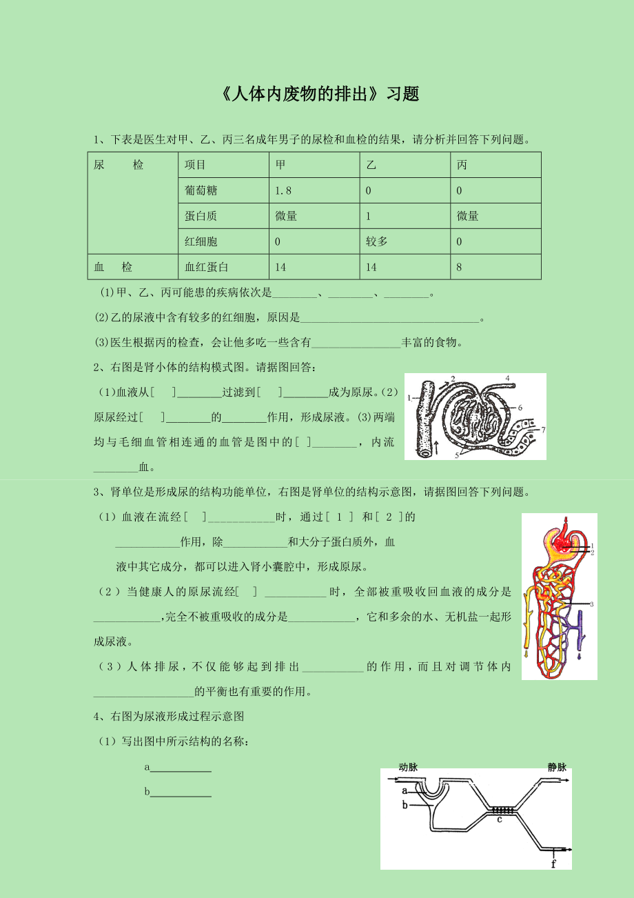 人教版七年級生物下冊 第四單元《第五章 人體內(nèi)廢物的排出》習題3（word版 無答案）_第1頁