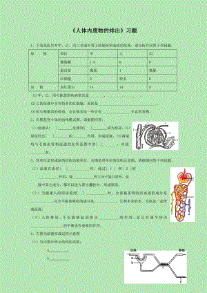 人教版七年級(jí)生物下冊(cè) 第四單元《第五章 人體內(nèi)廢物的排出》習(xí)題3（word版 無(wú)答案）