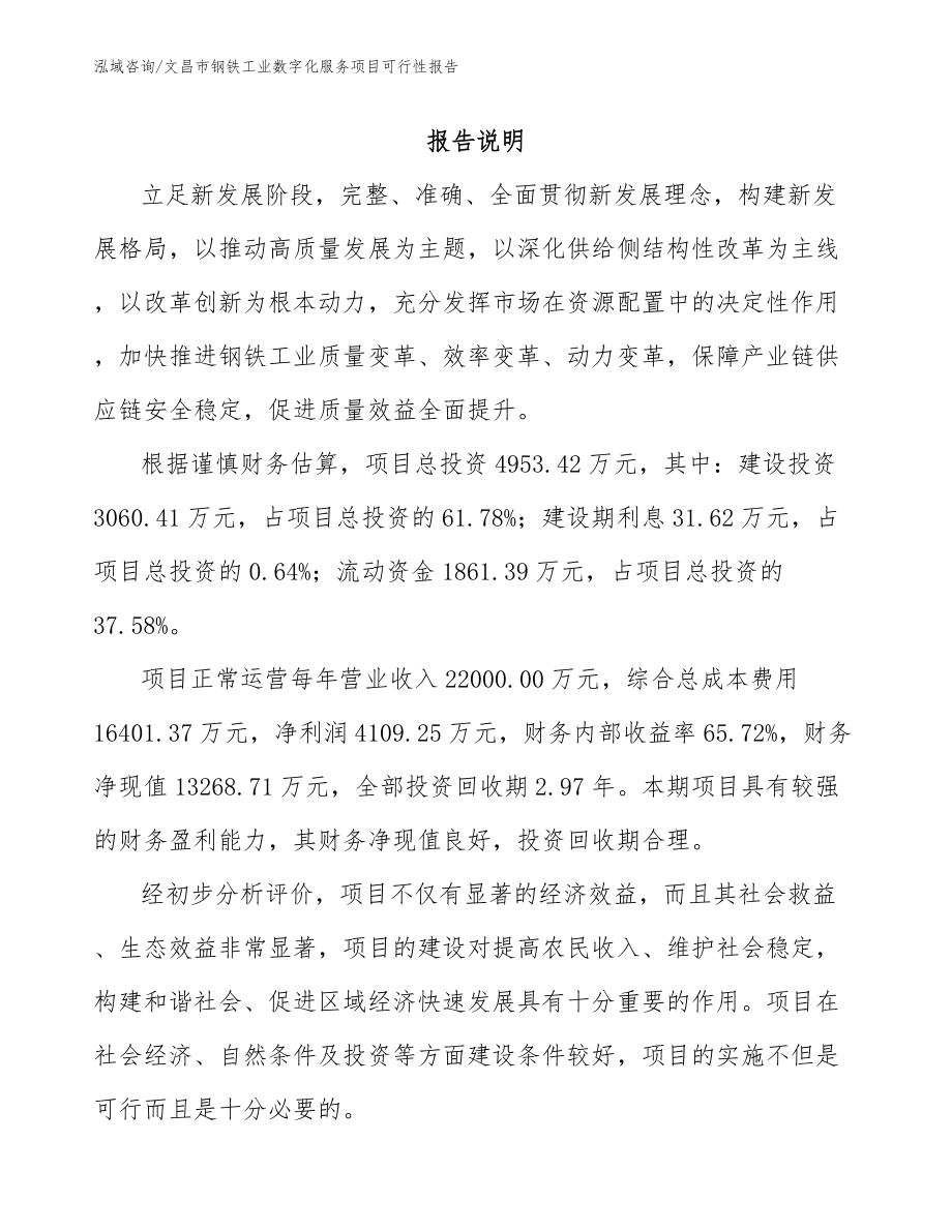 文昌市钢铁工业数字化服务项目可行性报告_第1页