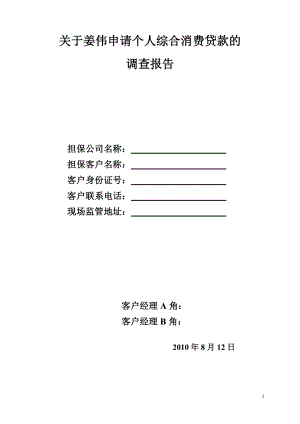 专题讲座资料（2021-2022年）关于姜伟申请个人综合消费贷款的调查报告