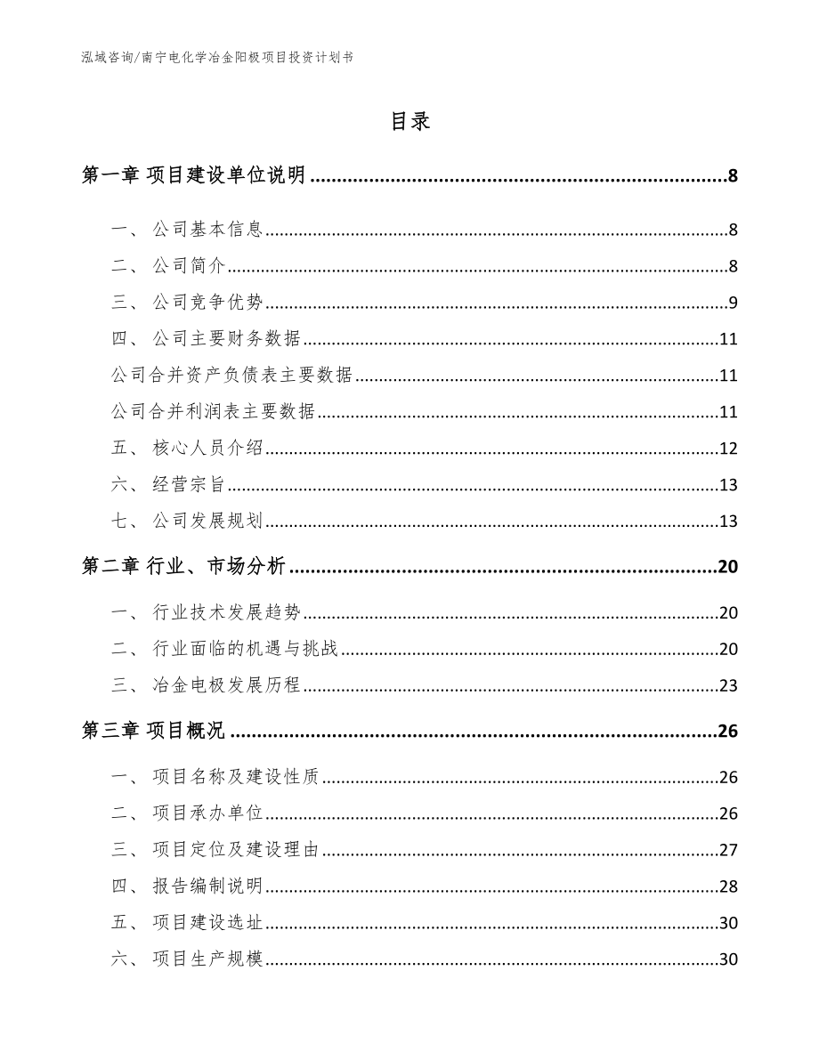 南宁电化学冶金阳极项目投资计划书_第1页