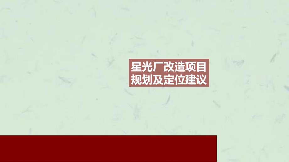 上海星光厂商业地产改造项目规划及定位建议63P课件_第1页