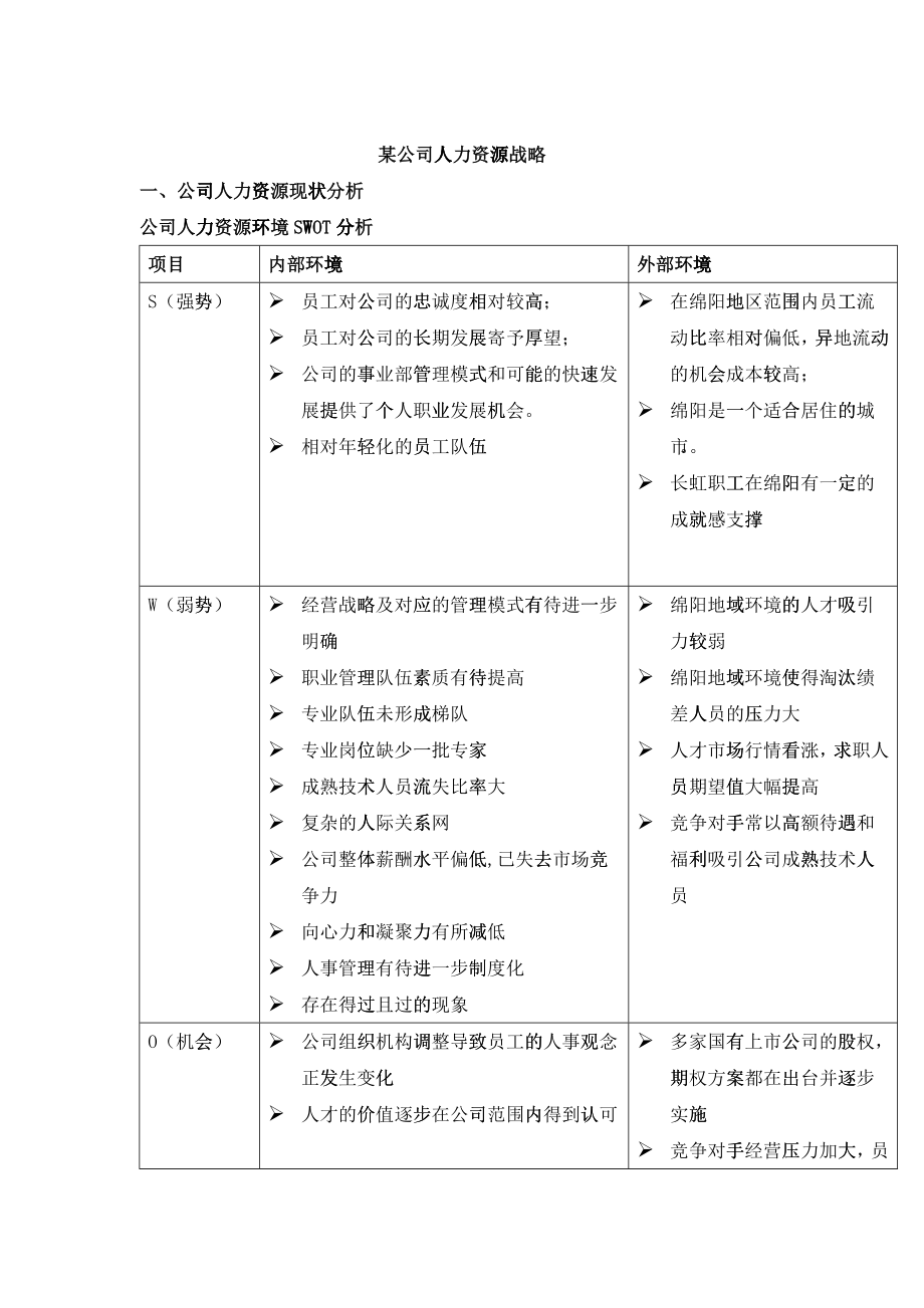 某某公司人力资源战略分析_第1页